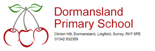 Dormansland primary School